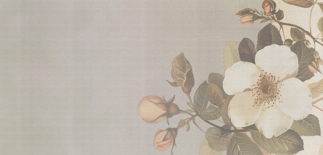 Floral design with white flowers and green leaves on a light background